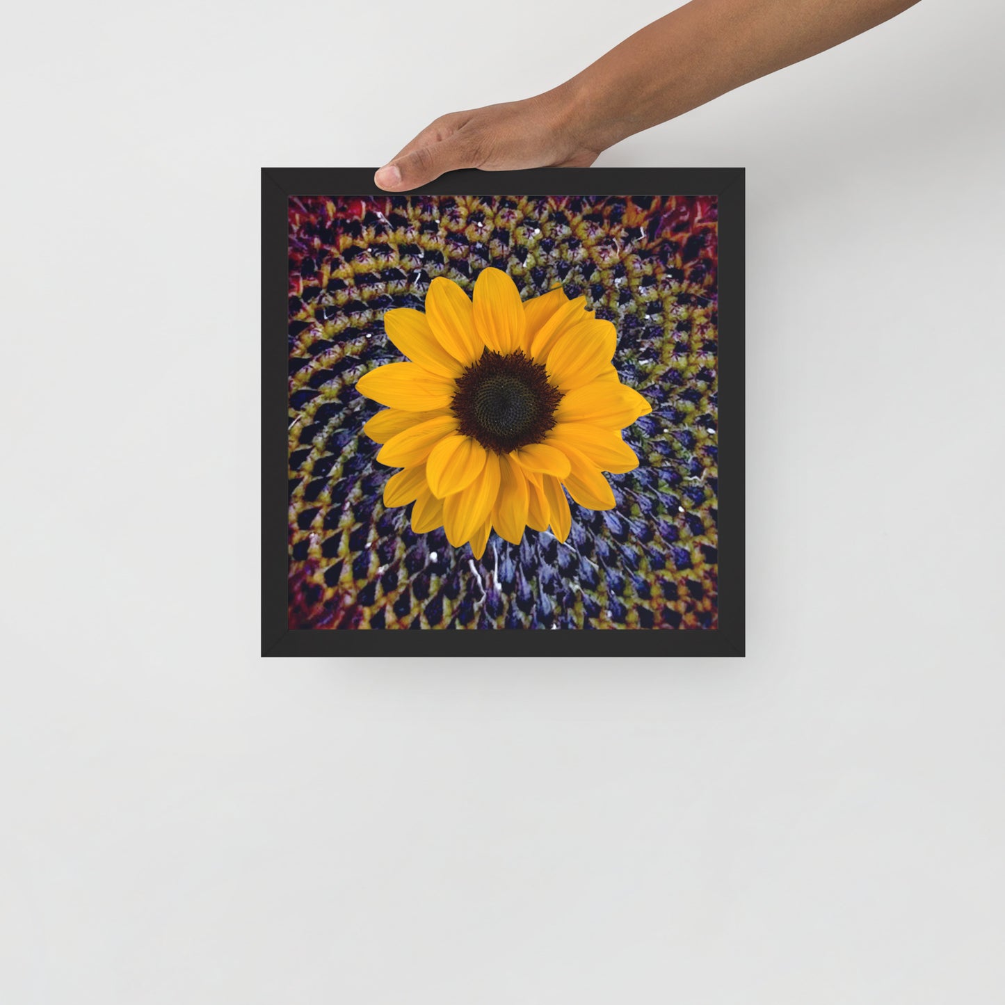 Sunflower purple Center Framed photo paper poster