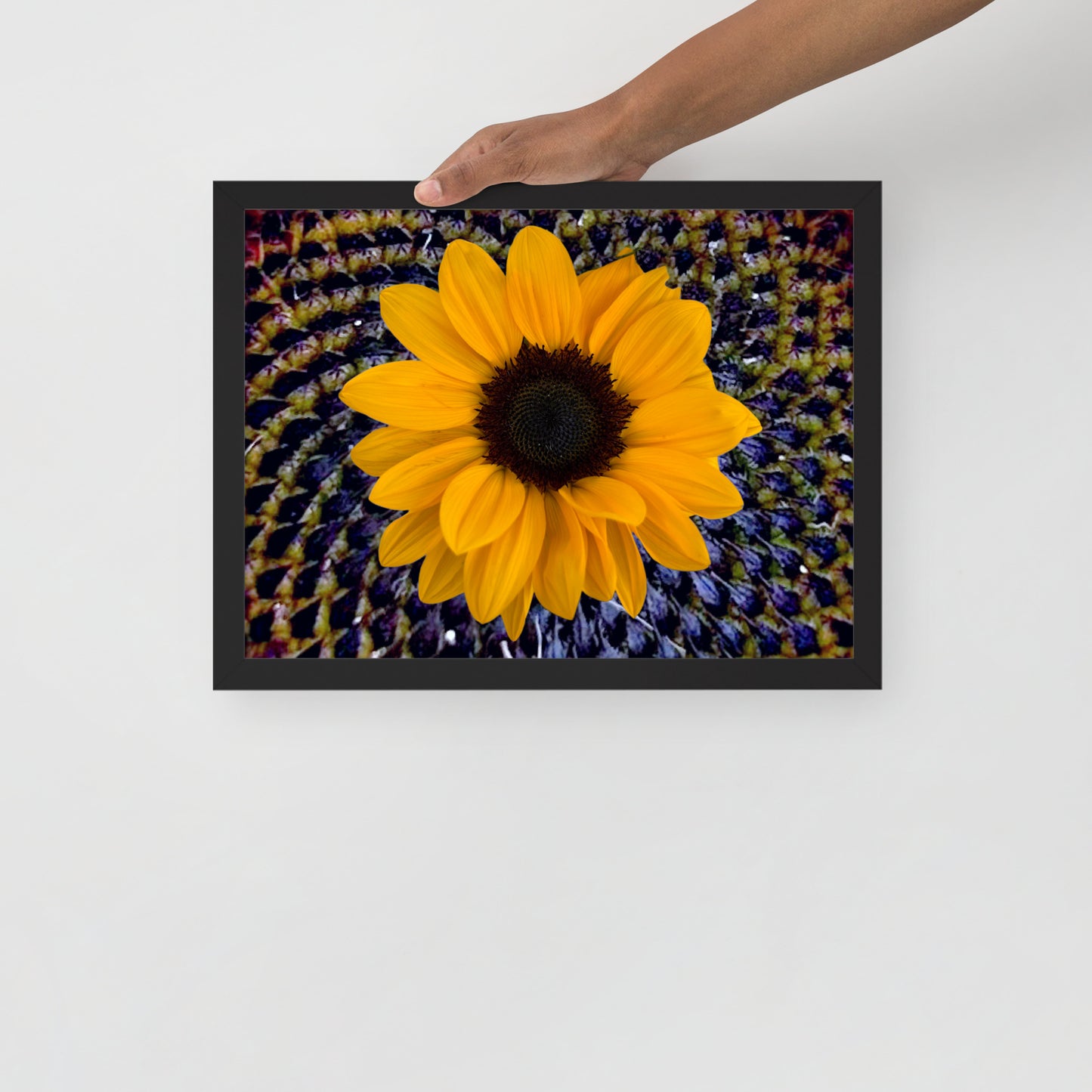 Sunflower purple Center Framed photo paper poster