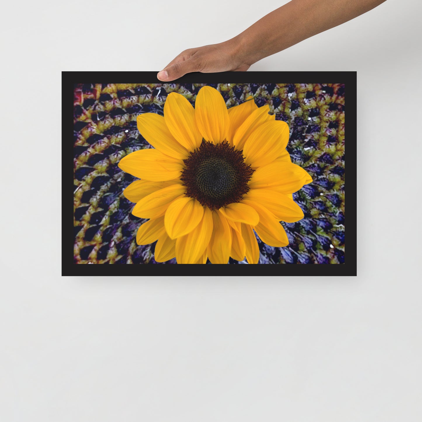 Sunflower purple Center Framed photo paper poster