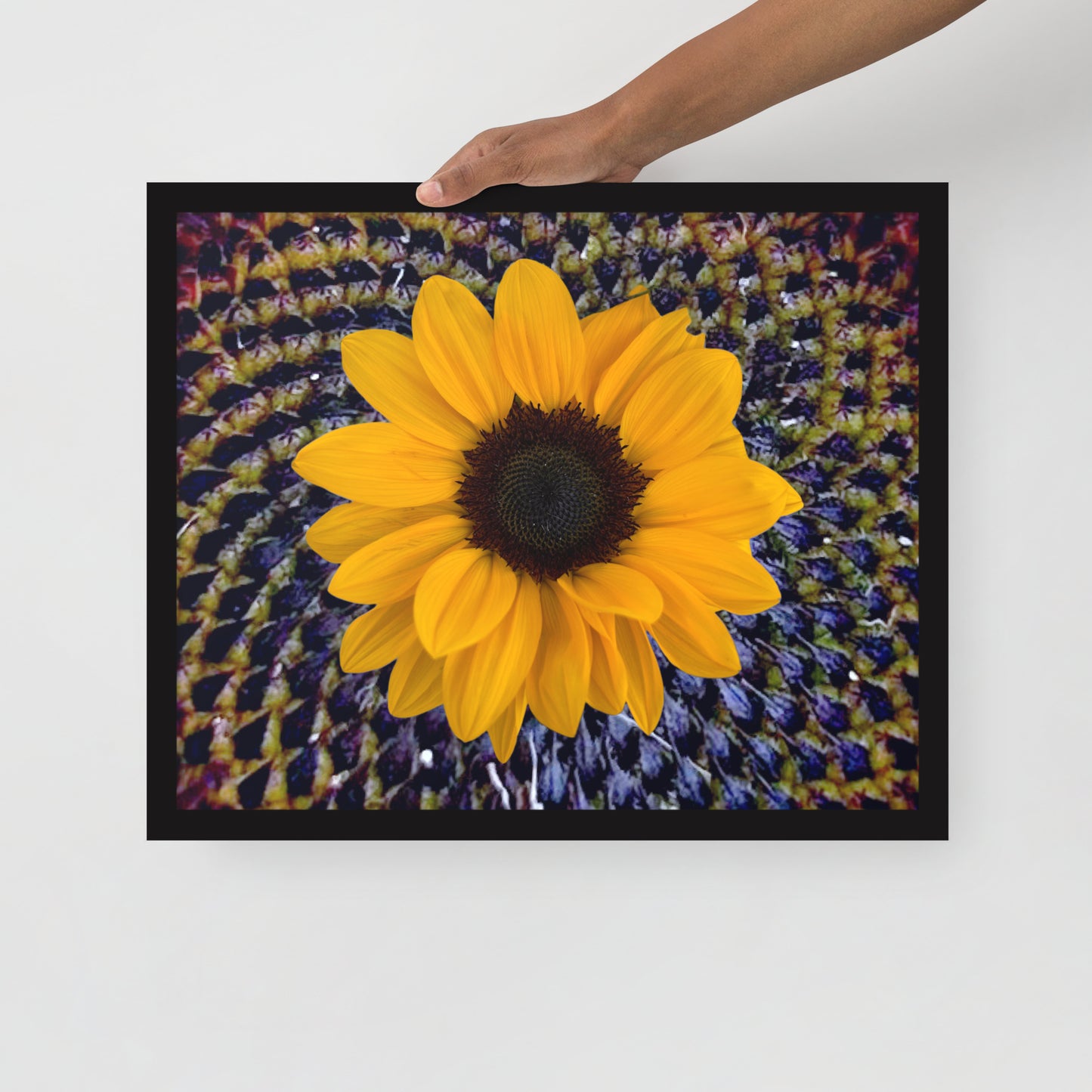 Sunflower purple Center Framed photo paper poster