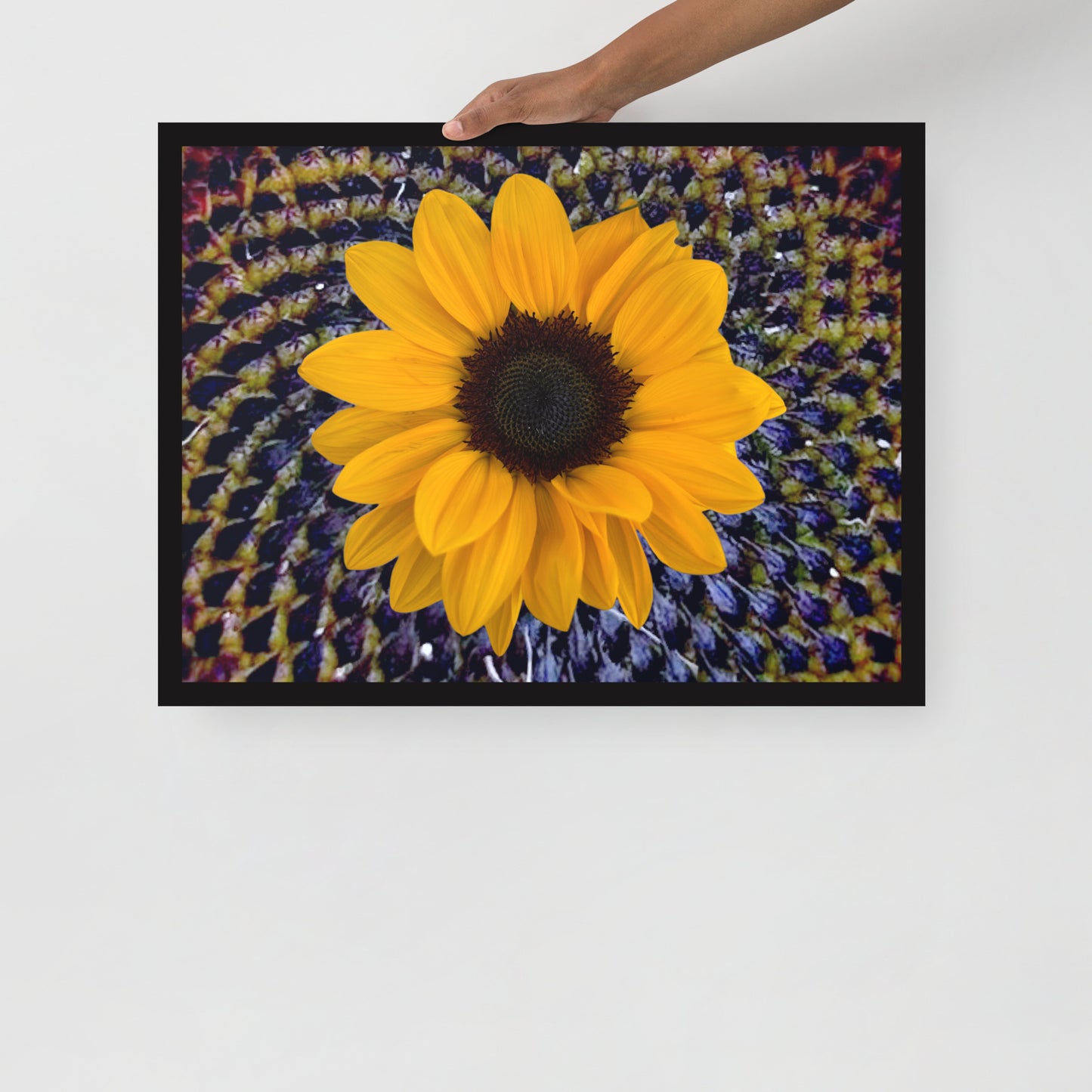 Sunflower purple Center Framed photo paper poster