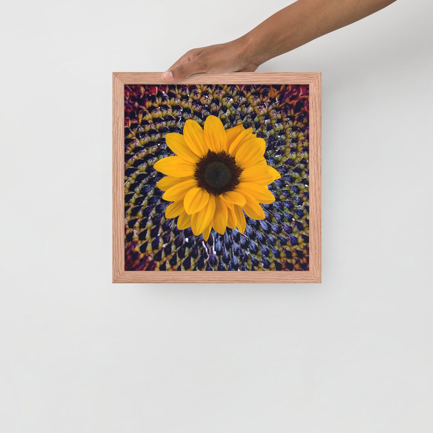 Sunflower purple Center Framed photo paper poster
