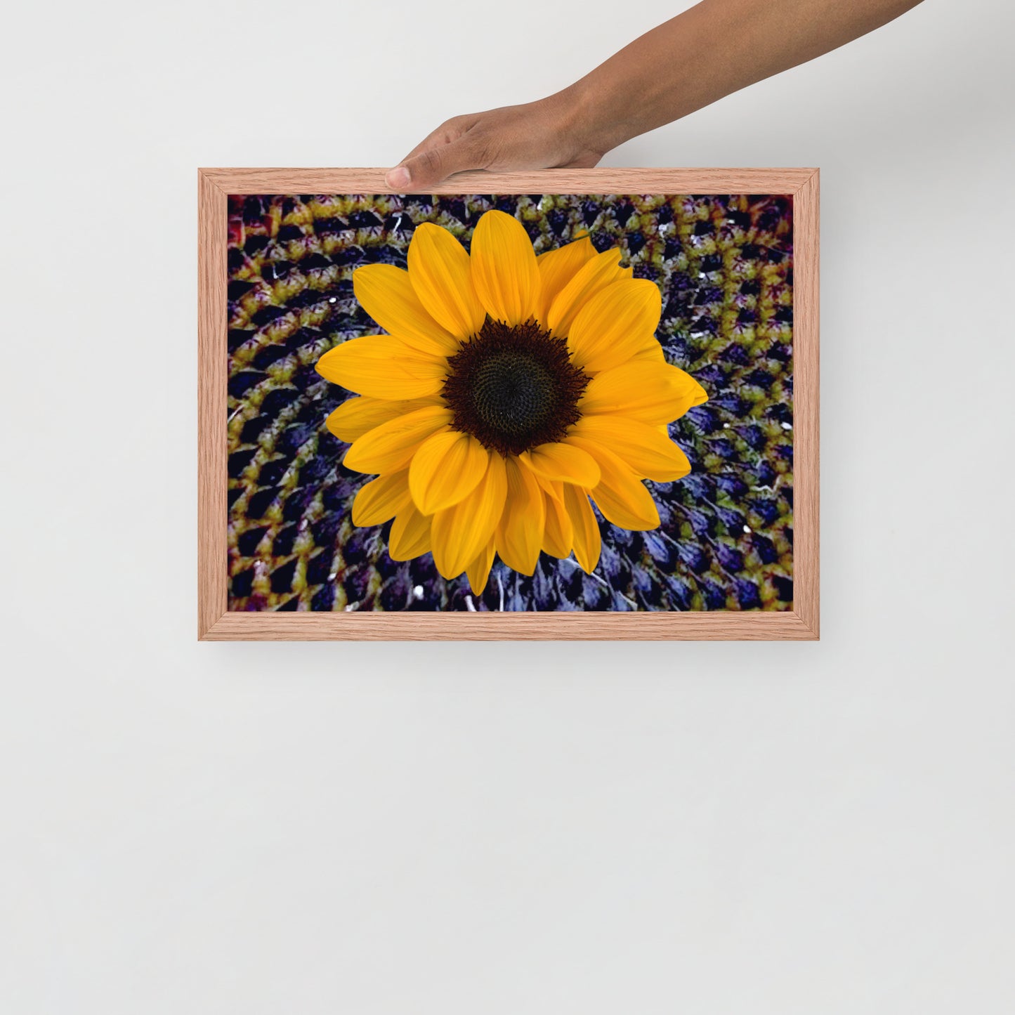 Sunflower purple Center Framed photo paper poster
