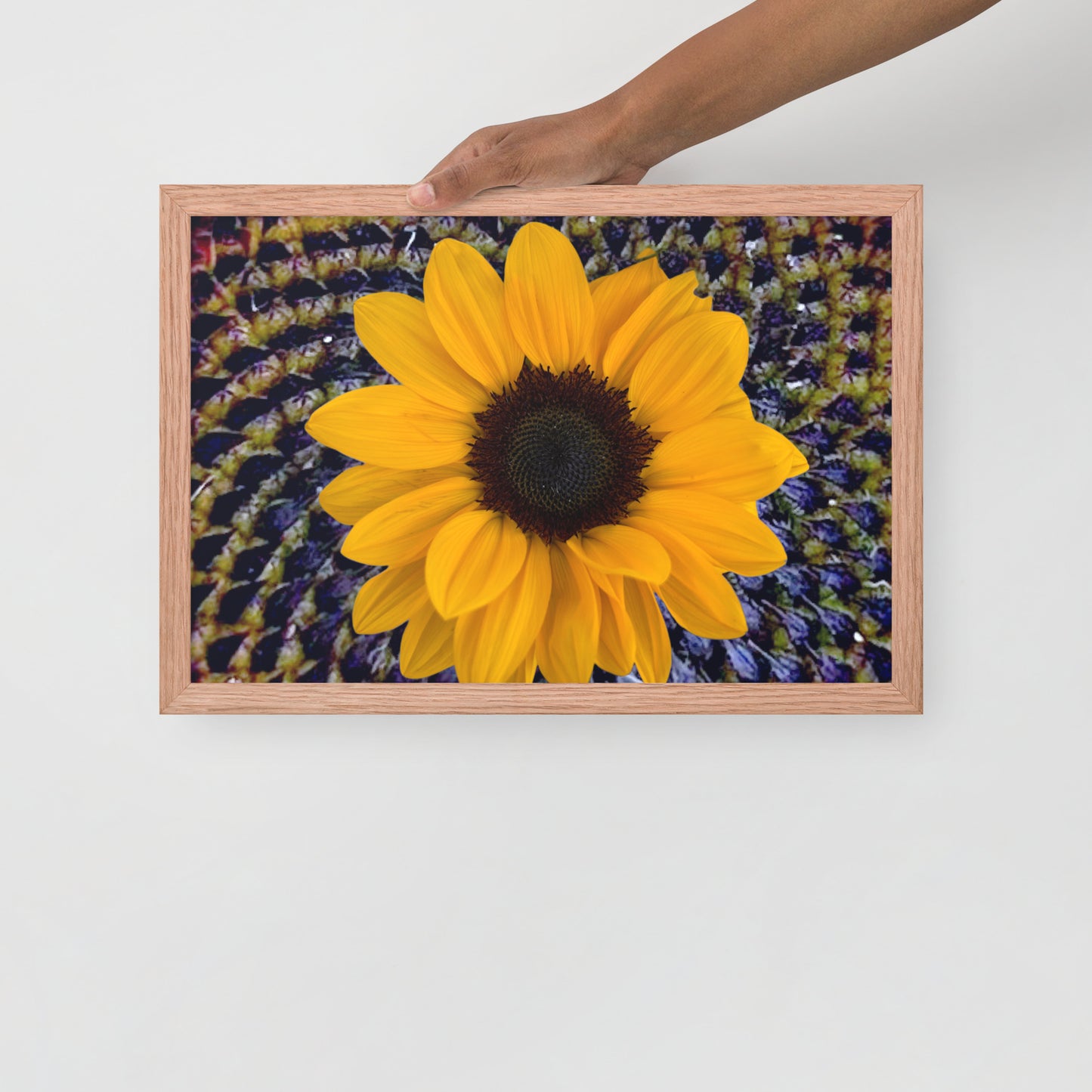 Sunflower purple Center Framed photo paper poster