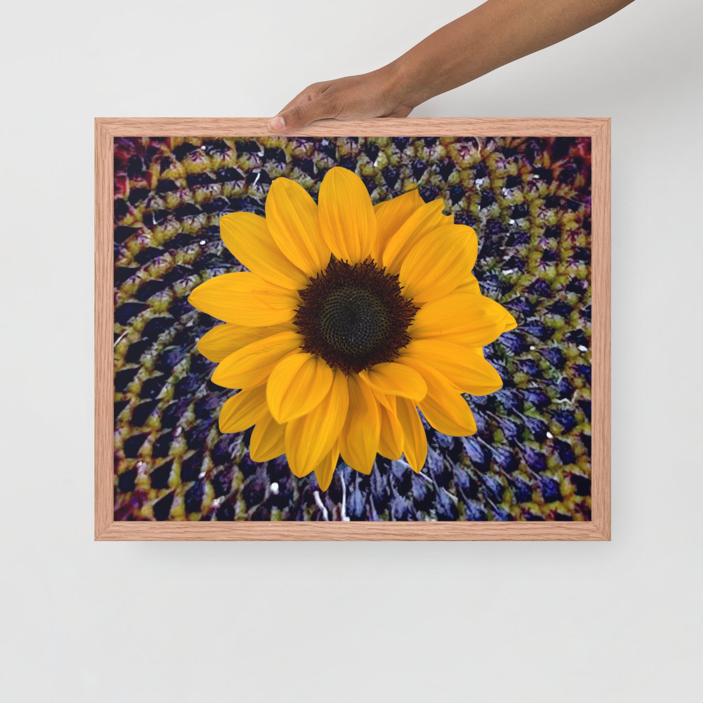 Sunflower purple Center Framed photo paper poster