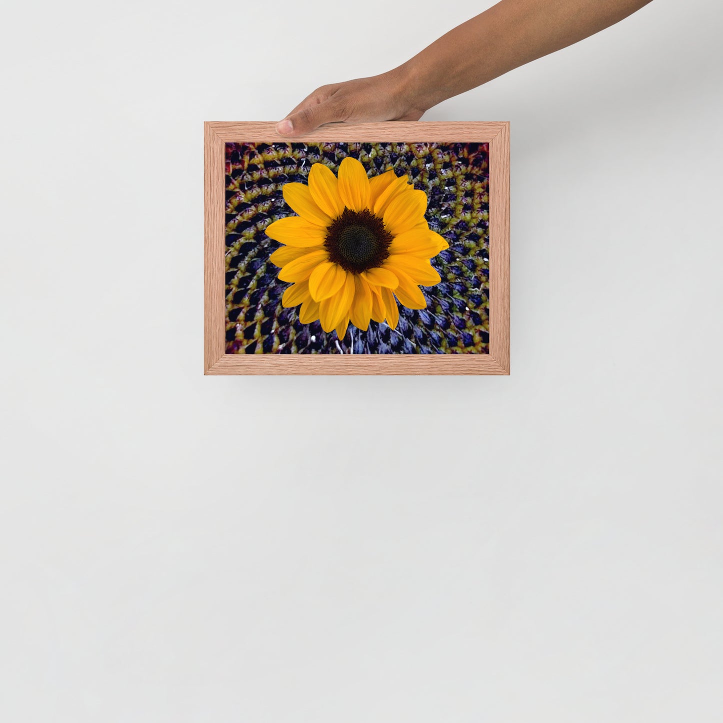 Sunflower purple Center Framed photo paper poster