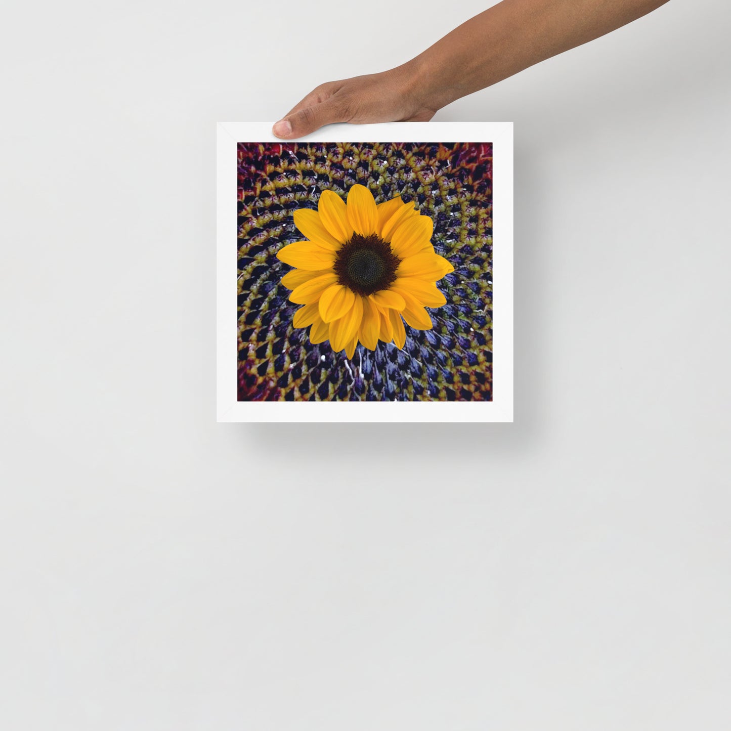 Sunflower purple Center Framed photo paper poster