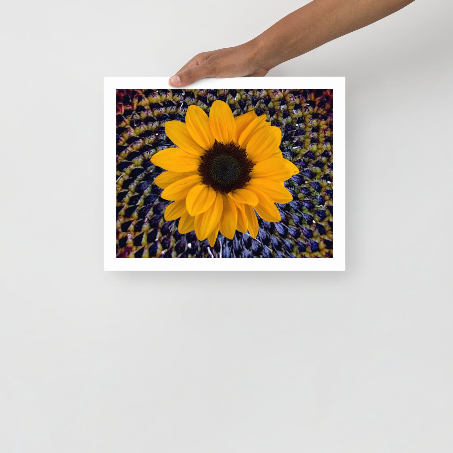 Sunflower purple Center Framed photo paper poster