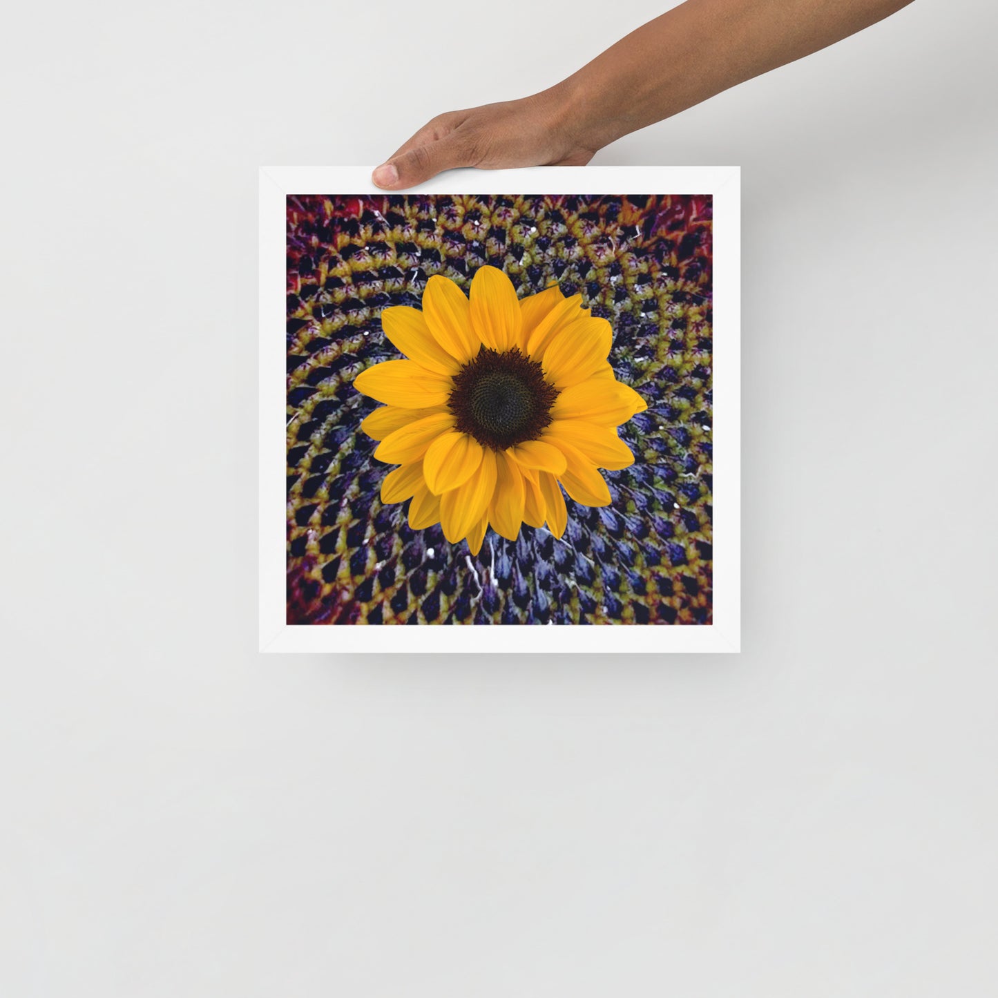 Sunflower purple Center Framed photo paper poster