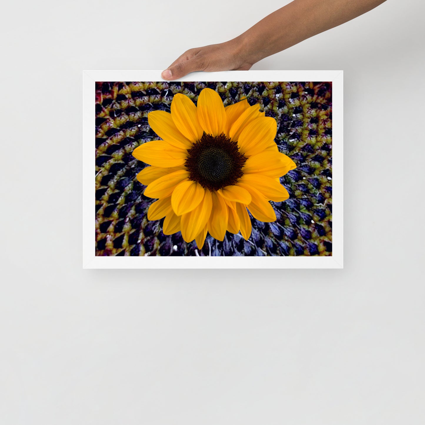 Sunflower purple Center Framed photo paper poster