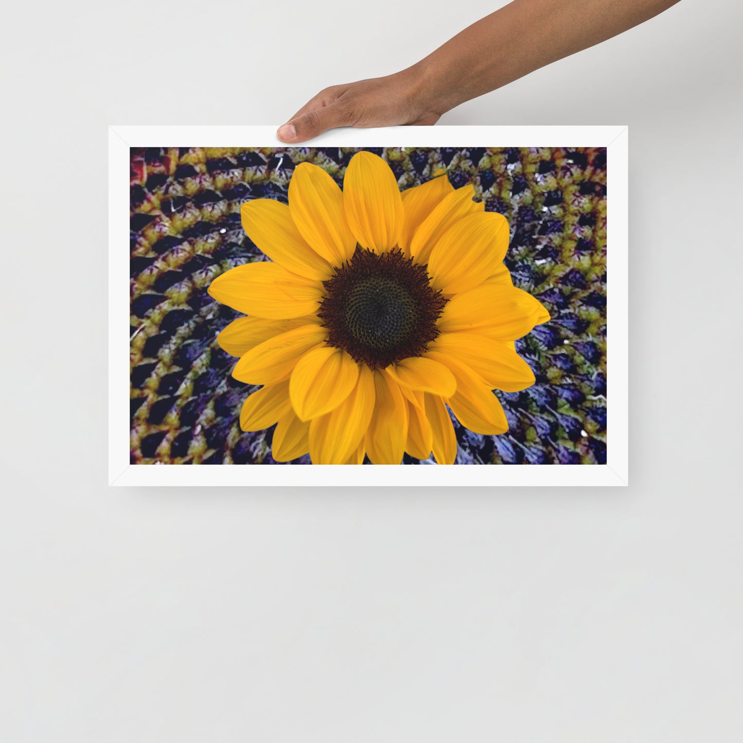Sunflower purple Center Framed photo paper poster