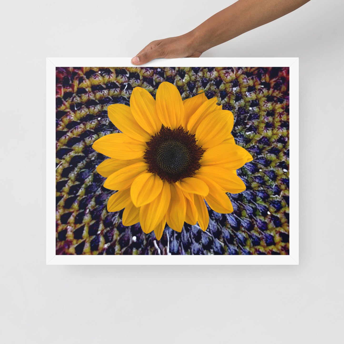 Sunflower purple Center Framed photo paper poster
