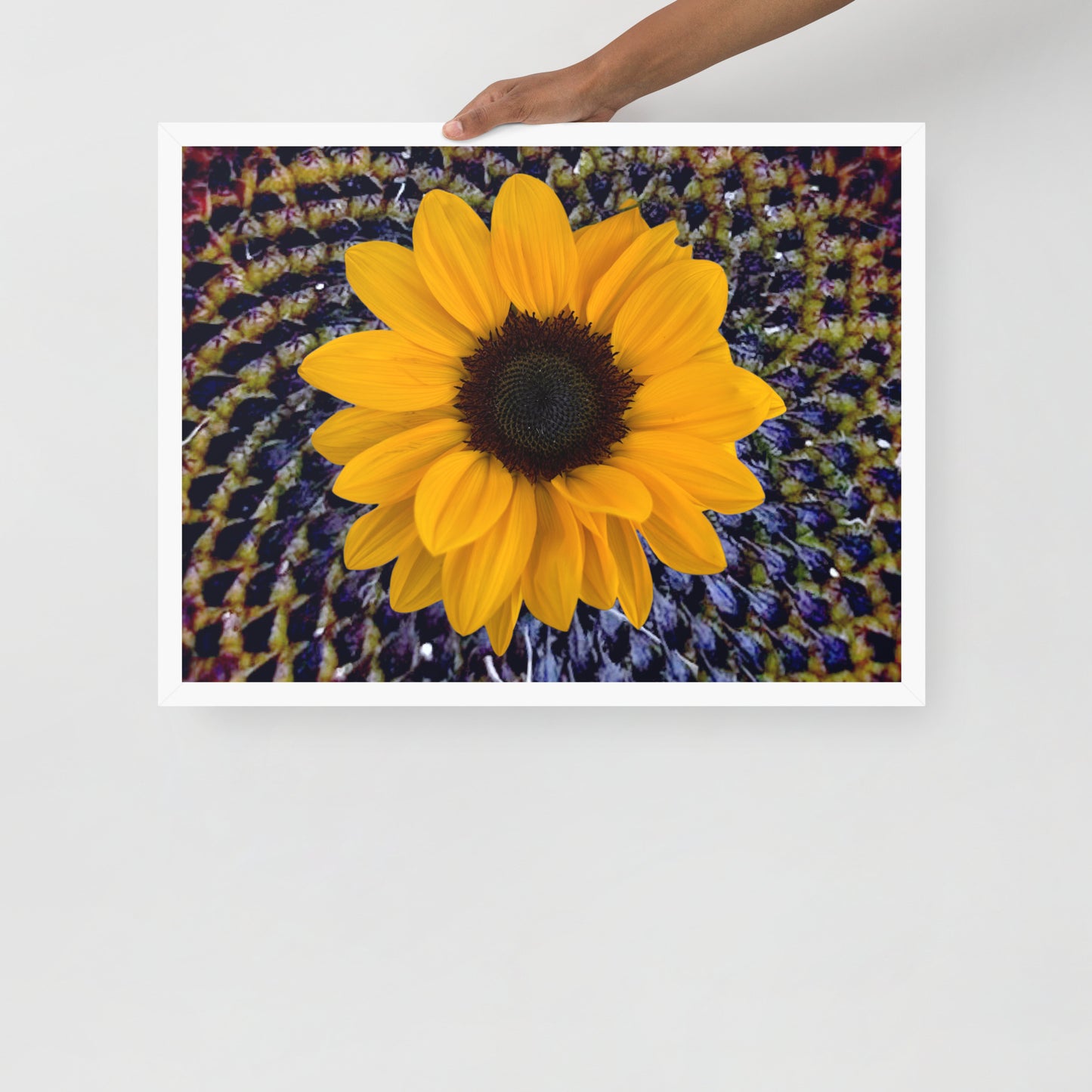 Sunflower purple Center Framed photo paper poster