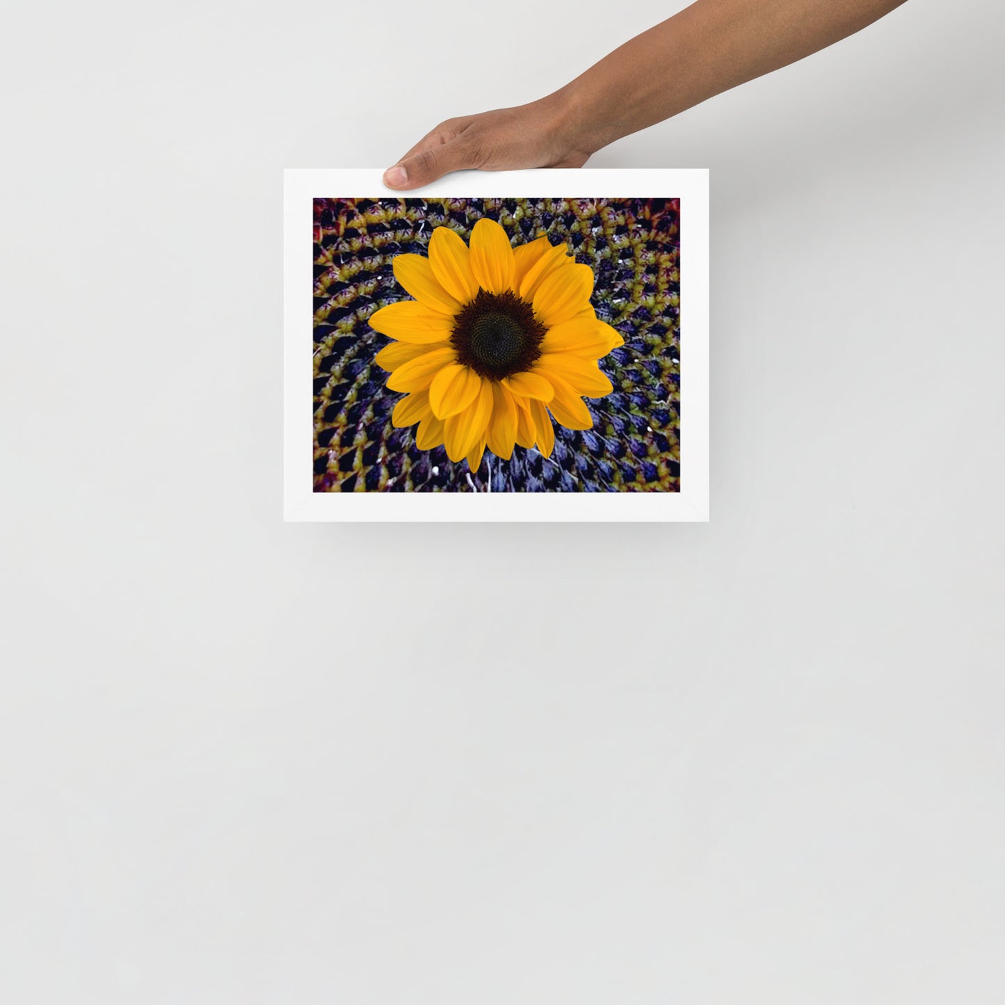 Sunflower purple Center Framed photo paper poster