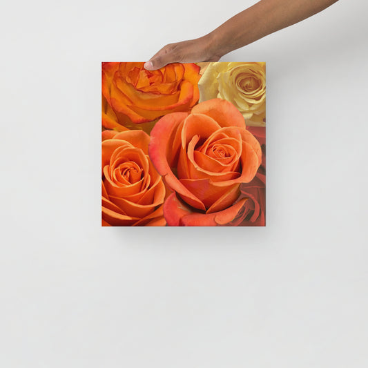 Orange Roses Thin canvas